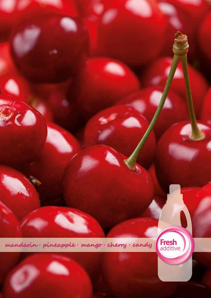 Name Referenz Aroma Geruchsfamilie Fresh Additive 2L Candy 5294600 Erdbeere und Schokolade Süßer Gourmand Fresh Additive 2L Cherry