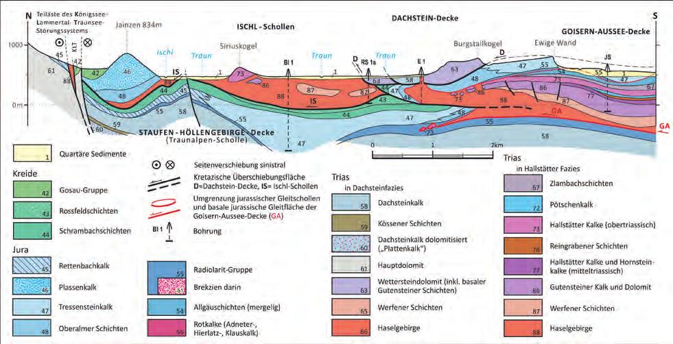 Allgemeine Themen / regionale Geologie Am Nordfuß des Traunsteins treten im Gschliefgraben (Abb. 1) bunte Mergel zutage, die bereits von alters her bekannt und als Gosau angesehen worden waren.