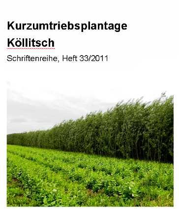 KUP Köllitsch ausgewählte Schlussfolgerungen - erhebliche Probleme mit Pflanzgut- und Pflanzqualität - im Trockengebiet im Anpflanzjahr evtl.