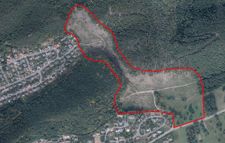 1 Planungsgrundlagen 3 Der Untersuchungsraum (UR) umfasst die Rodungsbereiche zwischen den beiden Ortsteilen im Osten von Dahn.