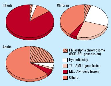 Häufigkeit von Translokationen bei Leukämie mie-fällen in