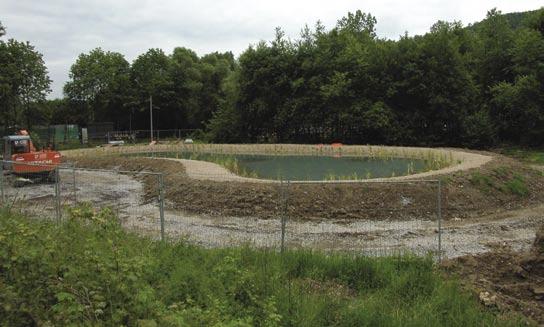 Der fertig bepflanzte und aus verkehrssicherungstechnischen Gründen eingezäunte Aufbereitungsbereich sorgt für klares Wasser im Naturerlebnisbad.