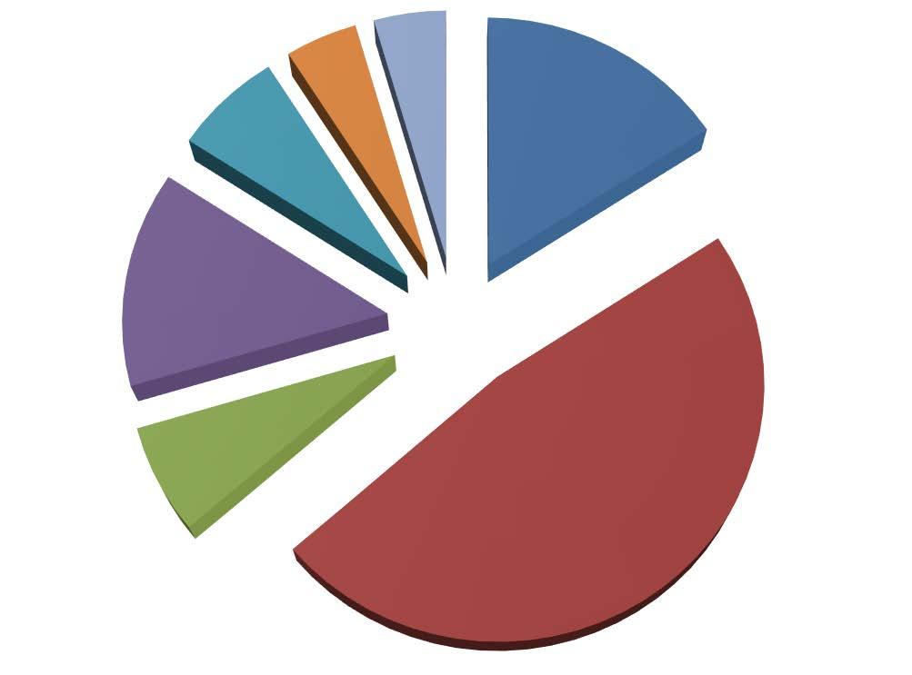 Sinus Nachrichtentechnik GmbH Mitarbeiterverteilung 7% 4% 4% 16% Projektmanager Systemtechniker