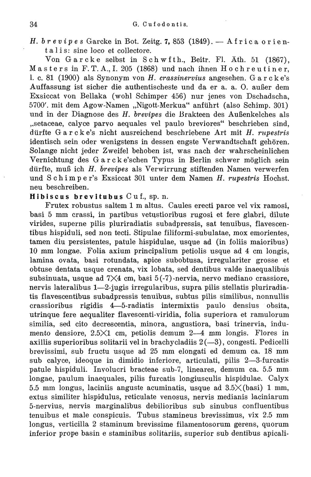 34 G. Cufodontis. H. brevipes Garcke in Bot. Zeitg. 7, 853 (1849). Africa orientalis: sine loco et collectore. Von Garcke selbst in Schwfth., Beitr. FI. Äth. 51 (1867), Masters in F. T. A., I.