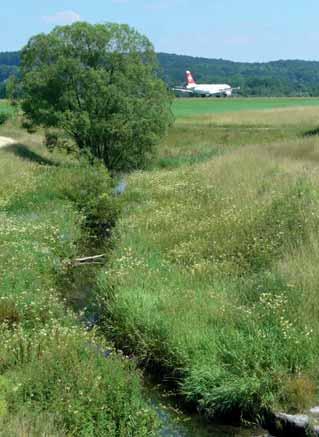 Gewässer Einzige Fliessgewässer auf dem Flughafenareal sind der «alte» und der «neue» Himmelbach. In sie entwässert das ausgedehnte Flughafen-Drainagesystem.