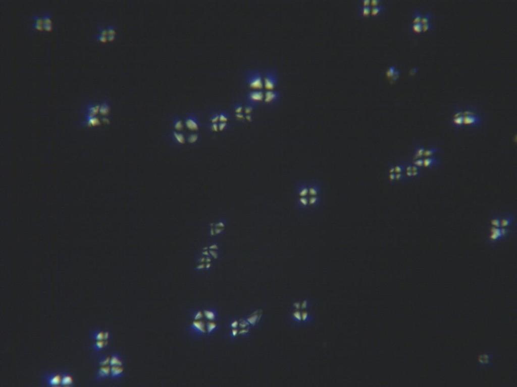 Hellfeld Polarisations (POL)-Mikroskopie