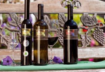 Das Weingut Kleber ist mit seinem Beitrag zur Revitalisierung des Rudersdorfers Weinbaus nicht nur für Weinfreunde, sondern auch für die Landschaft ein toller Gewinn und ein heißer Tipp für die