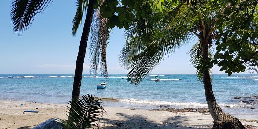 Preussen INTERNATIONAL Reisebericht Costa Rica SCP-Youngster Hardy Rieser jobbt 100 Tage in der Karibik Hardy unter Palmen am Pazifikstrand Drei Faulenzer auf einem Ast Traumhafte Ausblicke