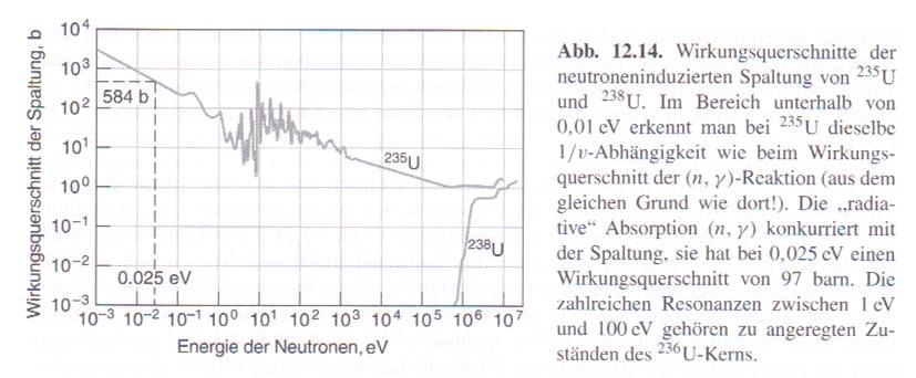 Die Wirkungsquerschnitte für die induzierte Spaltung und für die (n, γ)-reaktionen hängen stark von der kinetischen Energie / Geschwindigkeit v der Neutronen ab.
