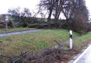 Bäumen voll gesperrt werden. Neben dem Erftal entstanden auch in anderen Teilen des Hardheimer Gemeindewaldes erheblich Schäden, wie beispielsweise dem Honert.