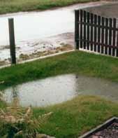 Versickerungsmulde für Regenwasser Kellerentwässerungspumpe Bei einem größeren Sanierungsumfang sollte auch die ortsnahe Versickerung oder Einleitung des Regenwassers in ein Gewässer geprüft werden.