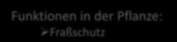 Speichelproteinen Beeinträchtigt die enzymatische Verdauung Protein-Bindung Funktionen in der Pflanze: