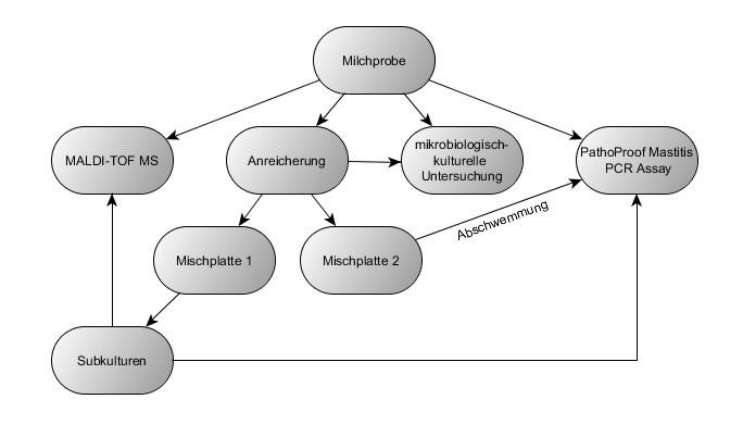 3. Material und Methoden 3.3 Methoden 3.3.1 Überblick Die Milchproben (A, n = 132) wurden mit den folgenden Methoden untersucht: - mikrobiologisch kulturelle Untersuchung und Differenzierung -