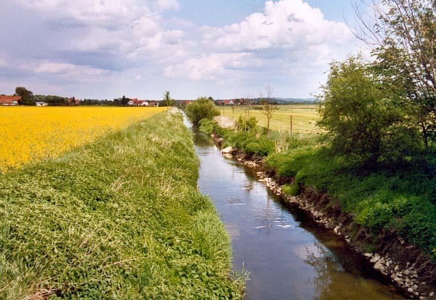 Gewässerunterhaltung Albrechtsbach