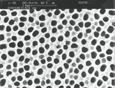 45 µm) an. Die gröberen Porengrössen (8 µm, 5 µm, 3 µm) finden Einsatz bei der Abtrennung von Zellen.