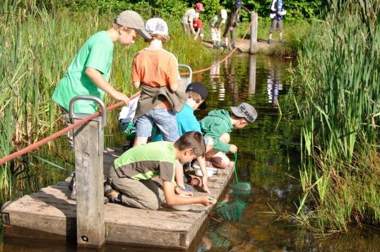 Naturerlebnisangebote an Ihrer Schule: 6. G`scheit Essen - Ernährung nachhaltig, gesund und fair (drinnen, ganzjährig): Woher kommen unsere Lebensmittel?