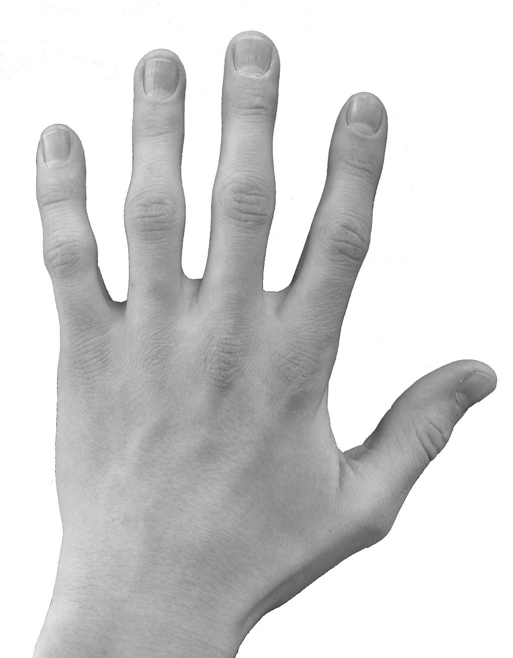 Jeder Finger hat seine Nummer 4 3 2 1 1 2 3 4 Die Finger der linken Hand werden mit den Zahlen 1 bis 4