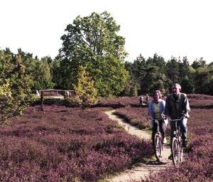 Mit dem Drahtesel durch die Südheide Foto: Lüneburger Heide GmbH Freuen Sie sich auf einen aktiven Erholungsurlaub, bei dem Bewegung und Natur erleben miteinander verschmelzen.