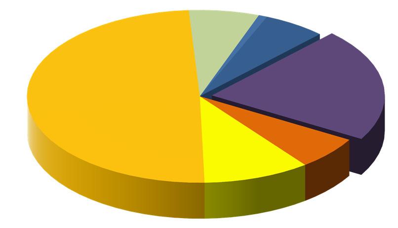 Haupt-Sojaproduzenten 2016/17 80% Argentinien 57,0 20% [Mio. t] Paraguay 9,2 3% USA 117,2 41% Brasilien 104,0 36% 03.