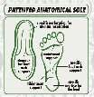 Die Produktion der Arcopedico Schuhe erfolgt auf 3 Grundprinzipien 1. Das Oberteil muss flexibel sein 2. Alle Schuhe haben die patentierte Sohle mit der doppelten Unterstützung der Fußwölbung 3.