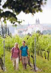 Wein & Wandern Ausblicke, Einkehr und (Um-)wege Offene Tore am Sächsischen Weinwanderweg Unterwegs in den Meißner Weinbergen Auf dem Sächsischen Weinwanderweg An jedem Etappenziel ein guter Tropfen