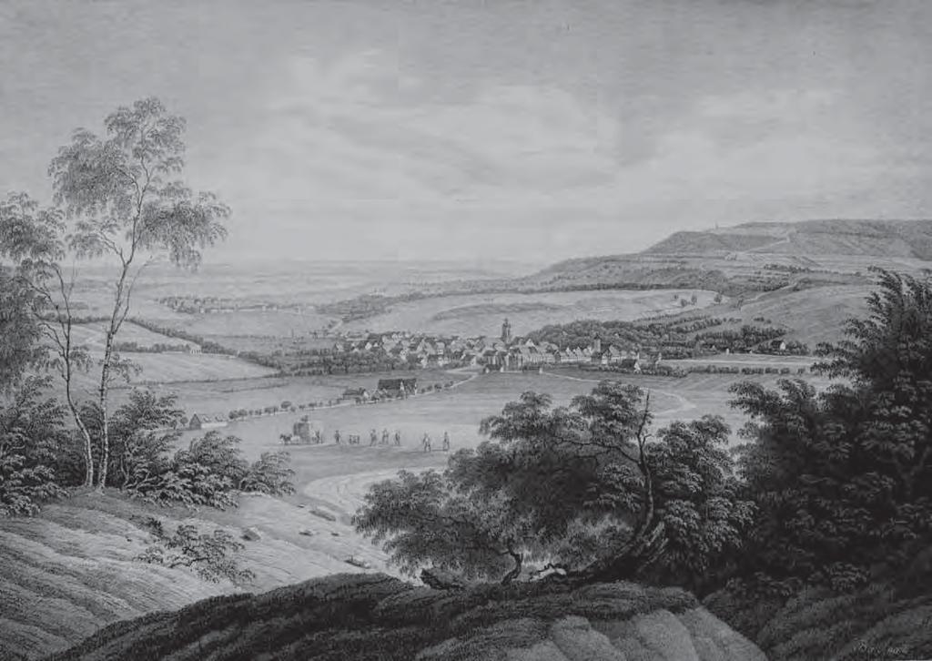 Der Blick auf Aalen im Jahr 1840 - ausgeräumte Landschaften ter durch Abschlagen der Äste und Blätter), Blattstreu für die Stalleinstreu gesammelt und Gerbrinde und Harz gewonnen.