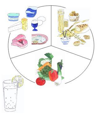Ernährungsempfehlungen Kohlenhydratfreie Getränke Regelmässige Mahlzeiten
