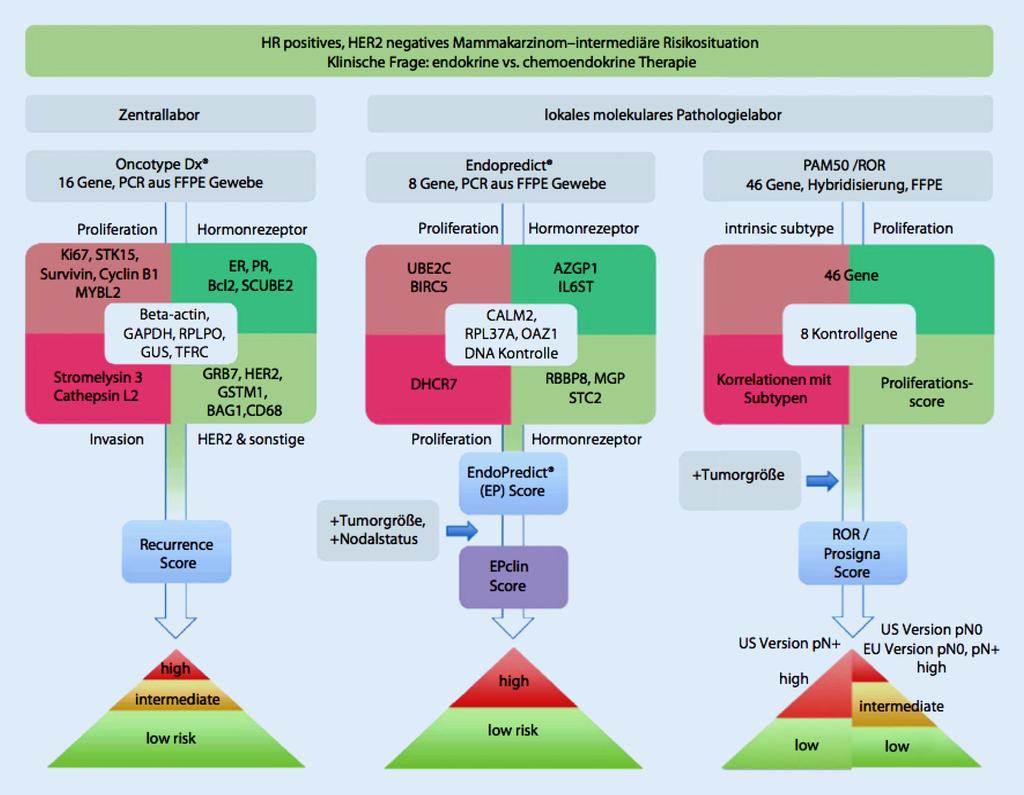 Abb. 1 8 Schematischer Vergleich der Genexpressionstests Oncotype DX (Genomic Health), Endopredict (Sividon) und Prosigna (NanoString) [4] und high (41 100).