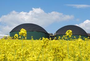 Biogasanlagenanalyse 2013 / 2014 Ziele: Identifizieren von möglichen Problemfällen im Hinblick auf Ressourceneffizienz, Klimafreundlichkeit und Wirtschaftlichkeit.