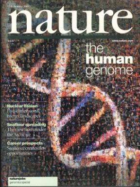 Eine ultimative Genomstruktur: Die Nukleotidsequenz 67,7% 1985: erste Pläne 1998/99: Start Produktionsphase 2000: Abschluß Rohdaten-Erzeugung 2001:
