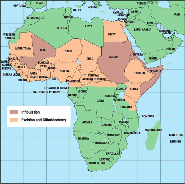 TEIL VII Länder in Afrika in denen FGM verbreitet ist