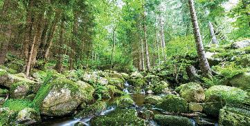 Tag: Individuelle Anreise nach Osterode Unternehmen Sie als Einstimmung auf Ihre Wanderreise einen Bummel durch die Fachwerkstadt im Südwesten des Harzes. 2. Tag: Osterode Clausthal-Zellerfeld (ca.