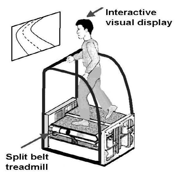 Laufband (treadmill) 10 / 24 Laufgeschwindigkeit und Richtung werden in die virtuelle Welt übertragen Realer Eindruck,