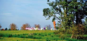 Ortsgruppen Die Skulpturengruppe Sitz- und Flitzhasen konnten die NaturFreunde während einer Stadtwanderung in der ökologischen Modellsiedlung Scharnhauser Park in Ostfildern bewundern.