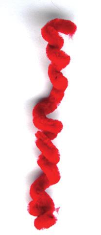 Chromosomen im Wandel L Ziele Schüler sollen erkennen, dass Chromosomen in Abhängigkeit vom Zellzyklus unterschiedlich gestaltet sind.