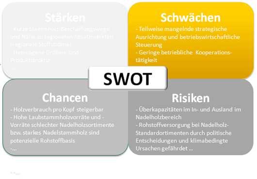 3. SWOT-Analyse Sägeindustrie Sägeindustrie 9 Schwächen Mangelnde strategische Ausrichtung Geringe betriebswirtschaftliche Steuerung Kaum