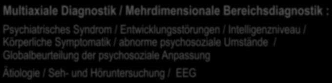 Intelligenzniveau / Körperliche Symptomatik / abnorme psychosoziale Umstände / Globalbeurteilung der psychosoziale Anpassung Ätiologie / Seh- und Höruntersuchung / EEG