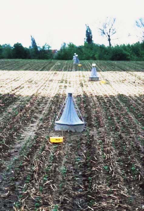 24 Material und Methoden Beim Anbauverfahren mit Zwischenfrucht wurde im vorausgegangenen Herbst (also Herbst 1997, 1998 bzw.