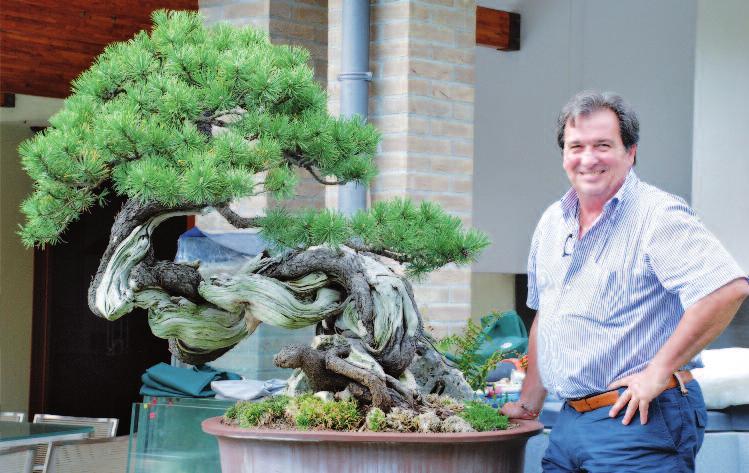 Italiens geheimer Koi- und Bonsai- garten <> 83 Italiens geheimer Koi- und Bonsai-Garten Text / Bilder: Martin Symonds Martin Symonds besucht Japan und kauft Koi seit 1982.