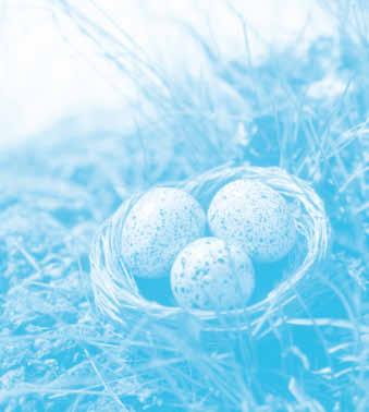 Bereits vor mehreren tausend Jahren verschenkten die Chinesen bemalte Eier als Symbol für das Erwachen der Natur im Frühling. Bei uns tauchten gefärbte Eier erstmals im 13. Jahrhundert auf.