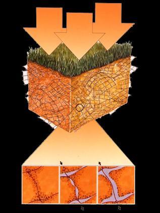 Kennzeichnung der Produkte-Gruppe Armierung Tragschicht A2 = NETLON ADVANCED TURF