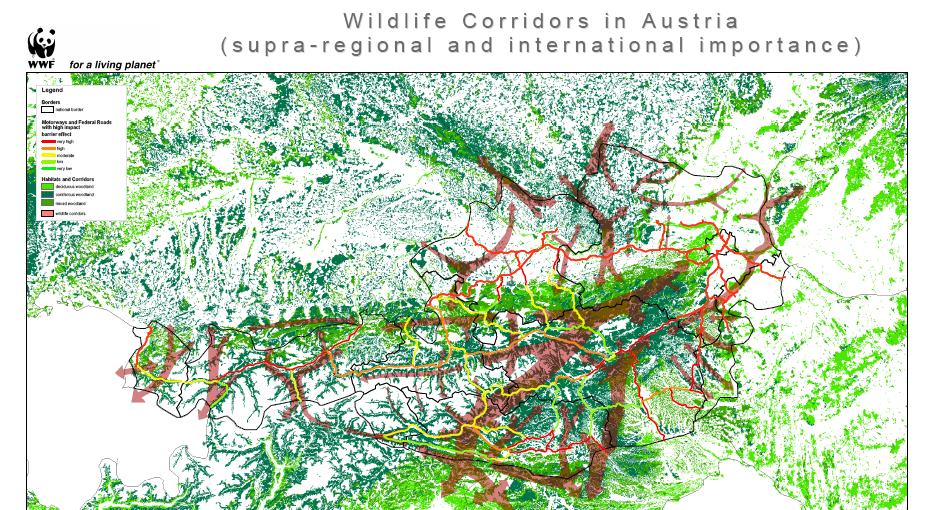 Überregional bedeutsame Wildtierkorridore in Österreich Im Internet abrufbar: http://ivfl.boku.ac.