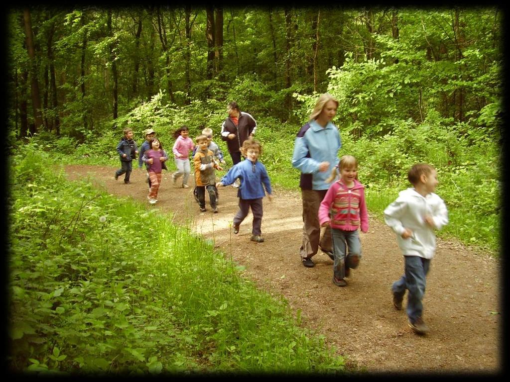 Frühsport im Wald.