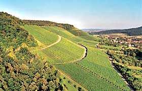 5 Württemberg Weingut Sonnenhof Vaihingen-Gündelbach Den Ursprung für das heutige Weingut bilden die Höfe der Familien Bezner und Fischer.