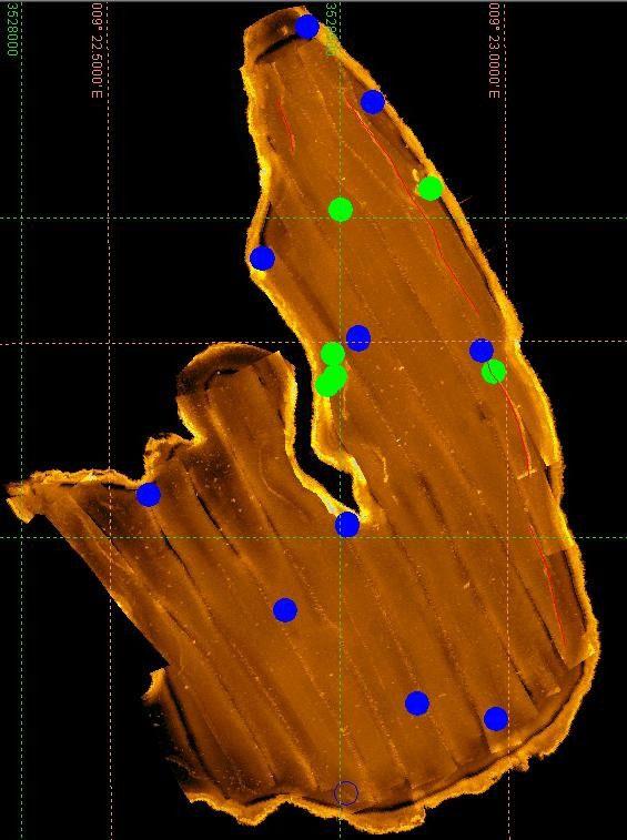 Abb. 3-36: Sidescan-Karte des Illmensees mit Bootswracks (blaue Kreise) und Baumstämmen (grüne Kreise) am Seeboden kommen doch eine Vielzahl von Objekten wie Baumstämme, erstaunlich viele Bootswracks