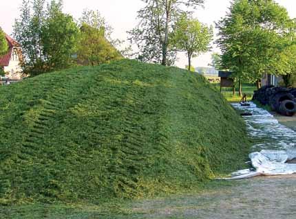 Silierung Optimales Anwelken, zügiges Befüllen, richtig Verdichten, perfekt Zudecken, das sind die wesentlichen Voraussetzungen für einen guten Siliererfolg.