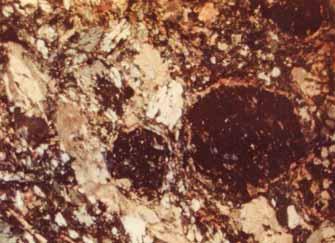 + Phyllite, die innerhalb der Thumer Gruppe anzutreffen sind, sind hellgrau oder graugrün bis dunkelgrau gefärbt und zeigen einen charakteristischen Seidenglanz auf den Schieferungsflächen.
