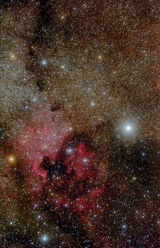 Titel : Nordamerikanebel und Pelikannebel (NGC7000 und IC5070) im Sternbild Schwan Foto: Klaus Weinhold Datum: 15./16.10.