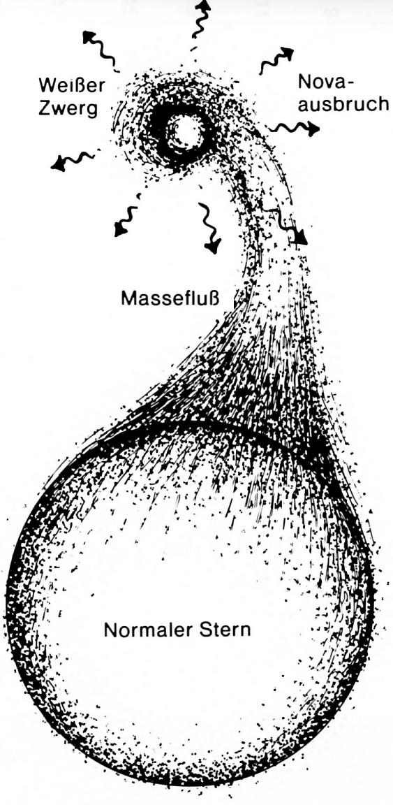 Novae Kontaktsystem Massenstrom zum WZ Bildung rotierender Akkretionsscheibe Heiÿer Fleck Stoÿfront