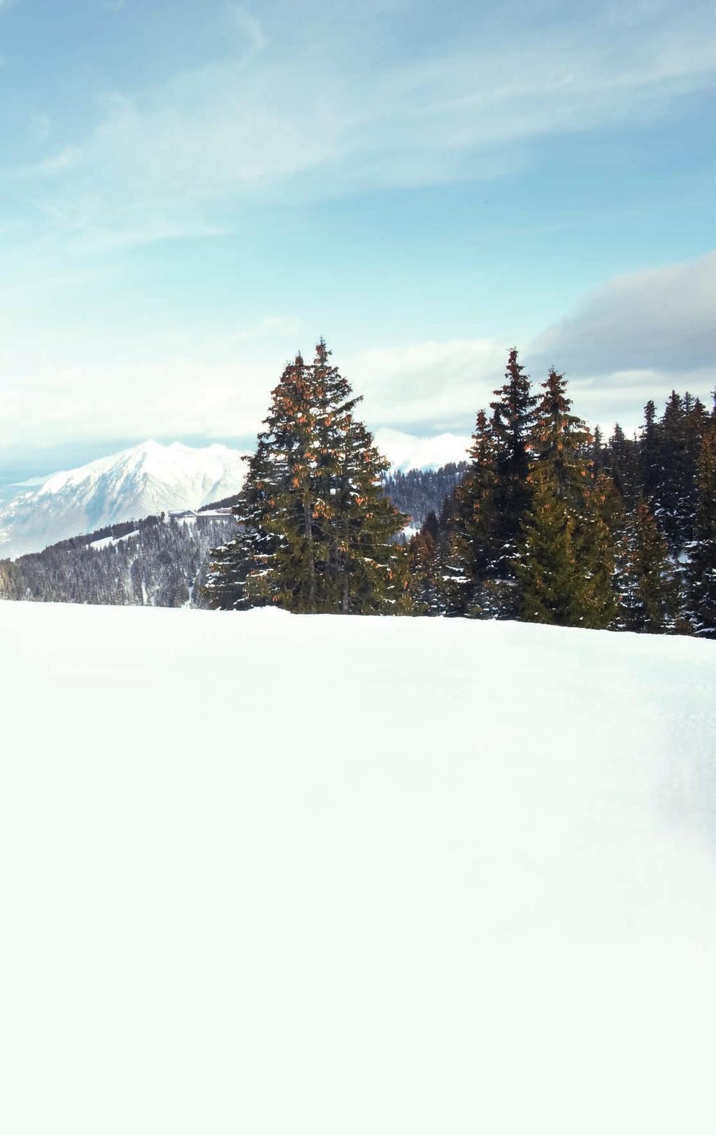 FREEDOM TO DRIVE TRANSPORTER-REIFEN WINTER -C VANHAWK WINTER Sommer Ganzjährig Winter Ausgewogene Fahreigenschaften bei Schnee und Nässe, hohe Laufleistung, es Profil Sommer Ganzjährig Winter Sehr